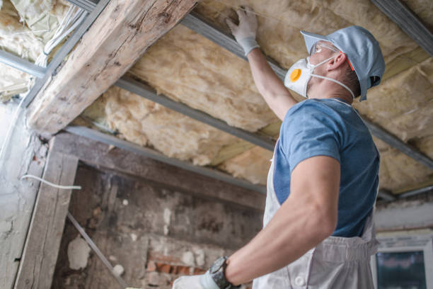 Best Types of Insulation in Rogers, TX