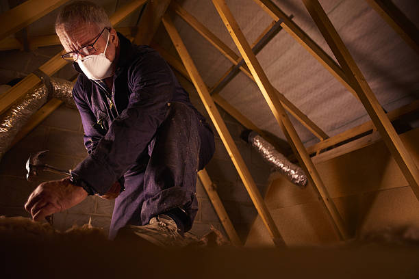 Best Energy Efficiency Solutions in Rogers, TX